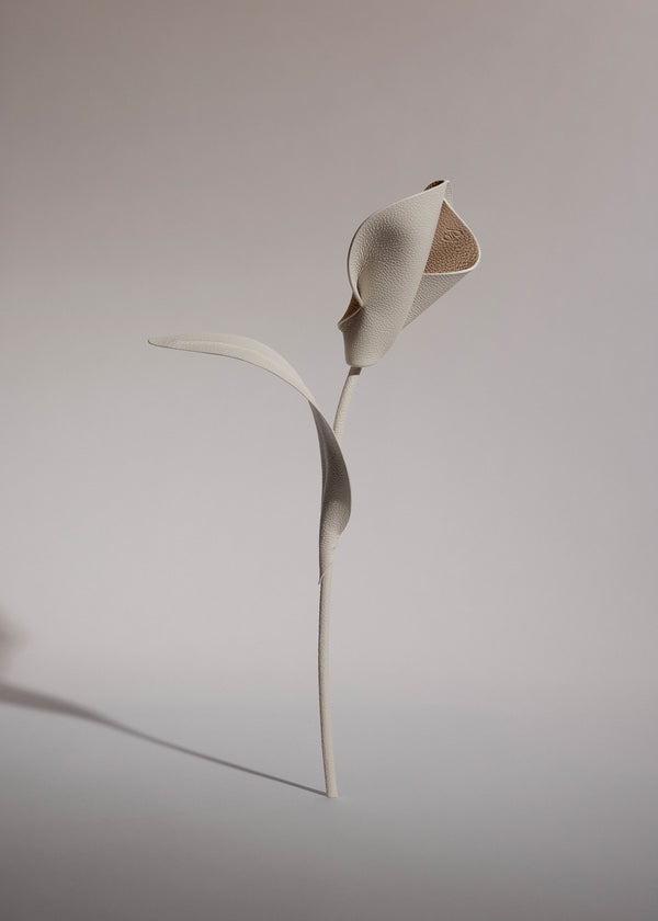 Pili Flower - Duo Chalk