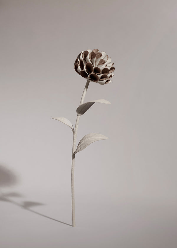 Dalium Flower - Duo Chalk