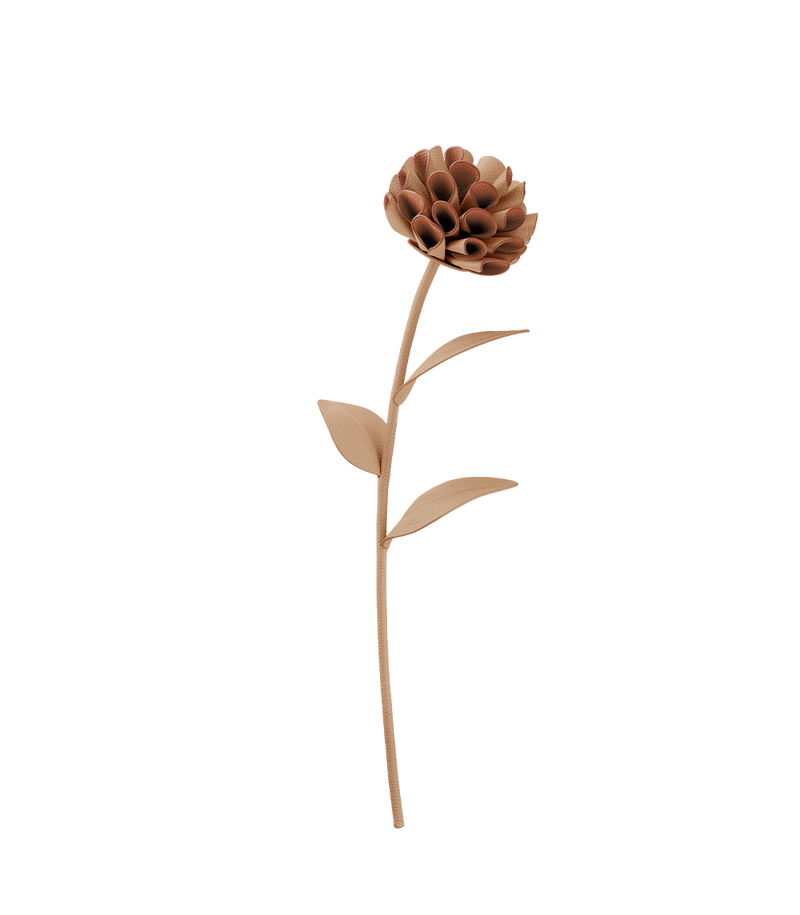 Dalium Flower - Duo Beige