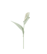 Pili Flower - Duo Fresh Almond