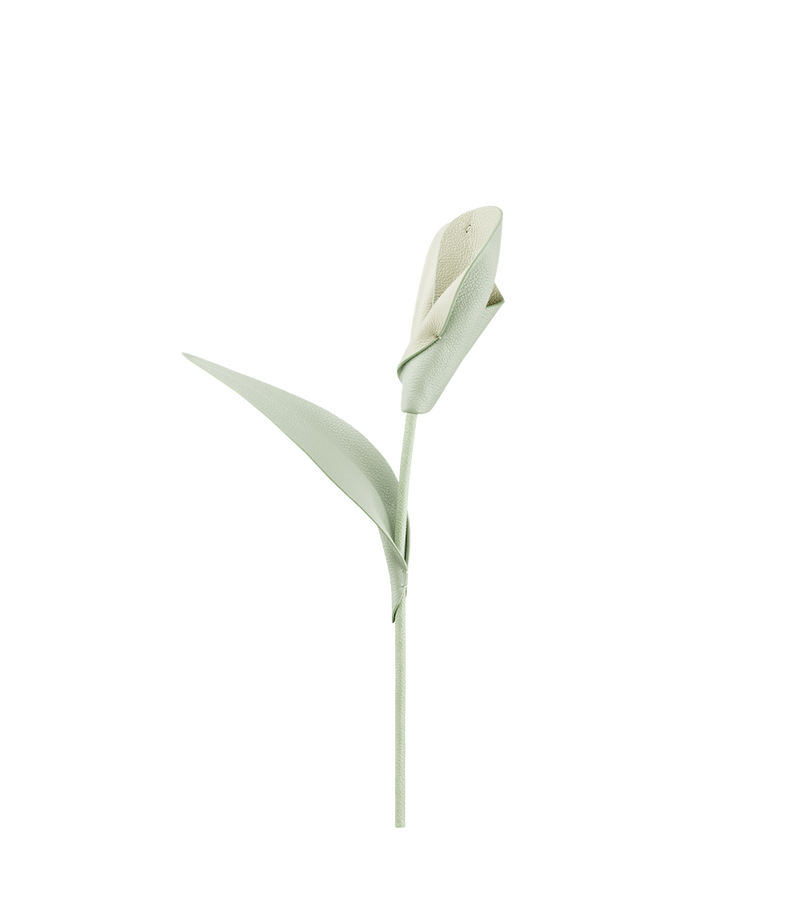 Pili Flower - Duo Fresh Almond