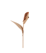Pili Flower - Duo Beige