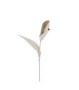 Pili Flower - Duo Chalk