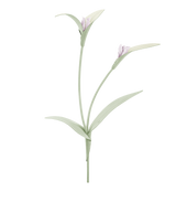 Touka Flower - Trio Fresh Almond