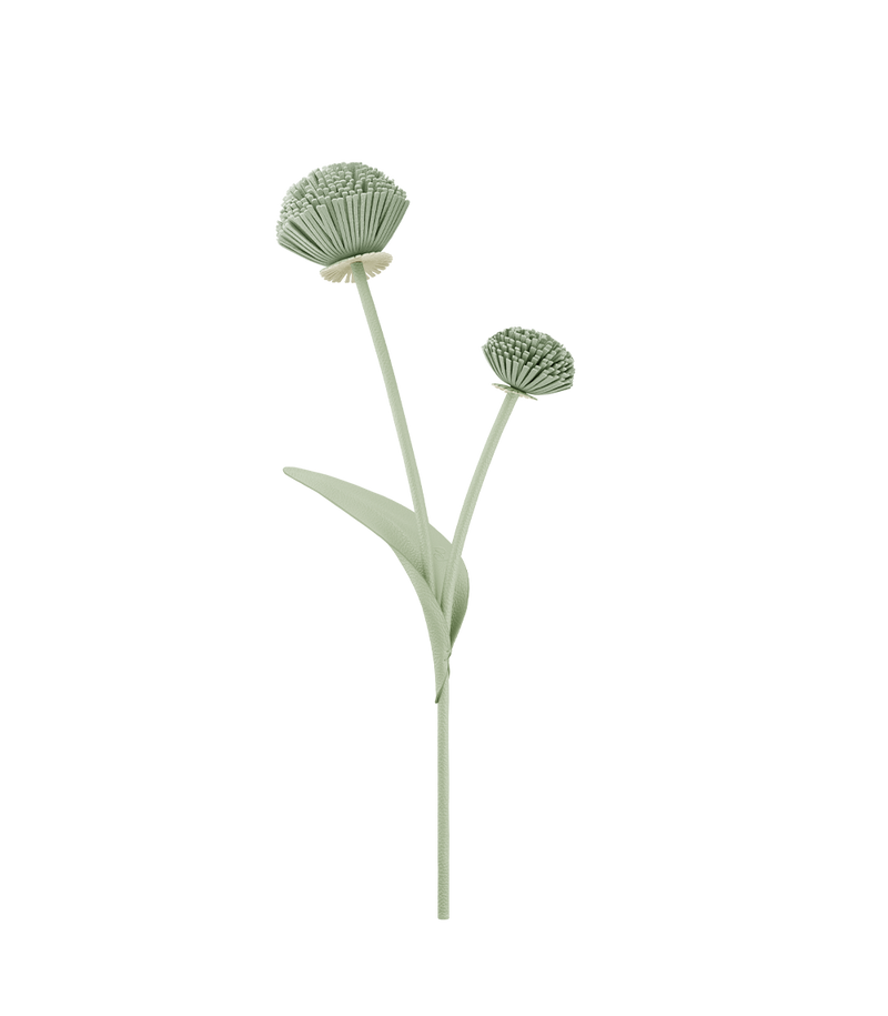 Tul Flower - Duo Fresh Almond