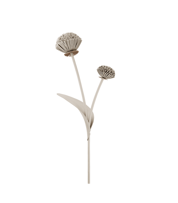 Tul Flower - Duo Chalk